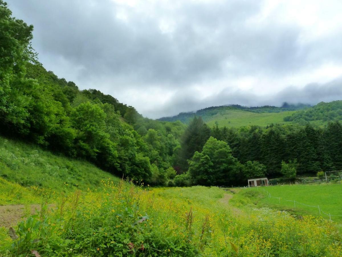 Maison Bergoun Borce ภายนอก รูปภาพ